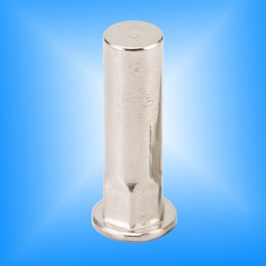 Extrémité étroite du corps semi-hexagonale à tête plate