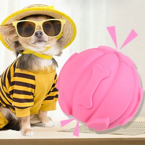 Jouet en silicone pour chien et chat Jouet en silicone pour animal de compagnie