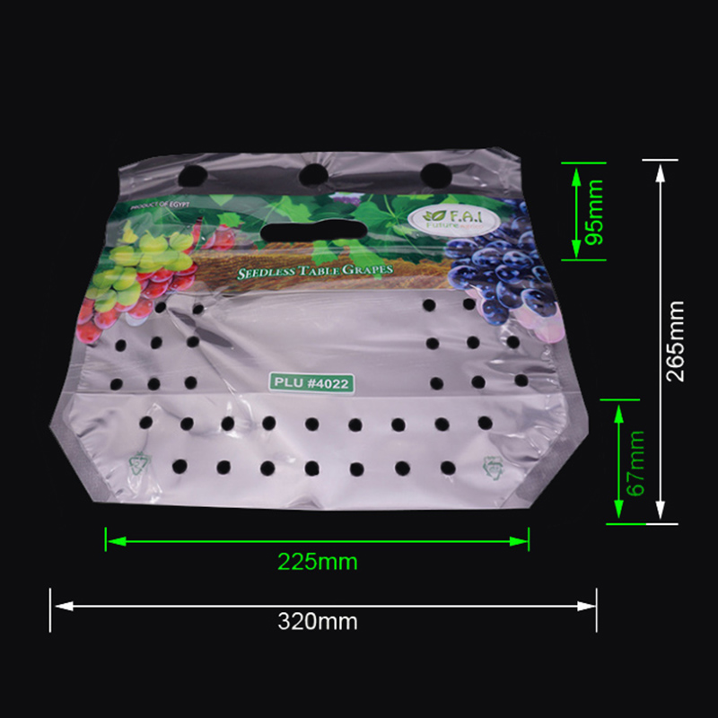 Sac d'emballage ziplock en plastique imprimé raisin avec des trous d'aération