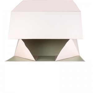 Boîte-cadeau faite sur commande d'aimant de forme de livre de luxe pour l'emballage cosmétique