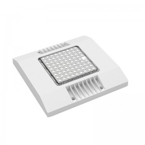 Nouveau 150W LED Canopy Light