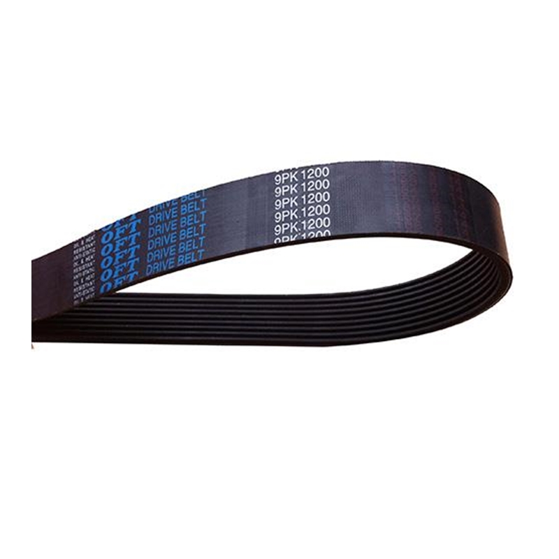 OFT Ceinture côtelée