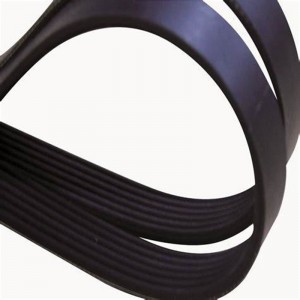 OFT Ceinture côtelée