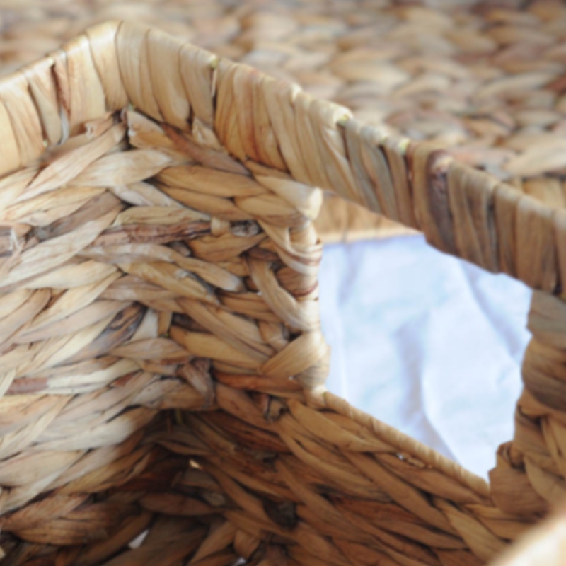 Panier de jacinthe d'eau