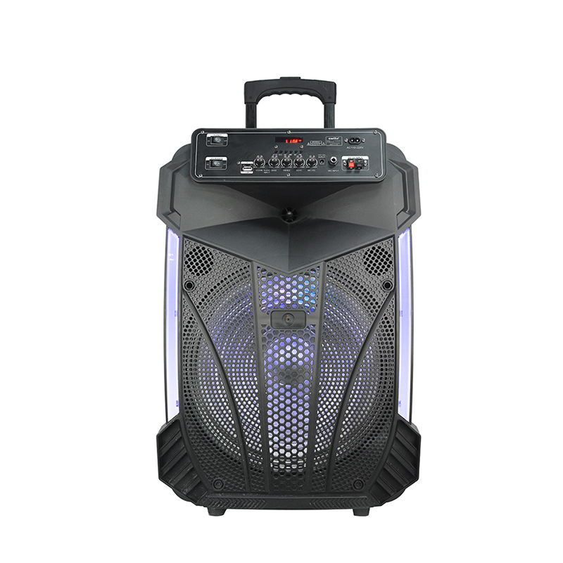 Haut - parleur de chariot