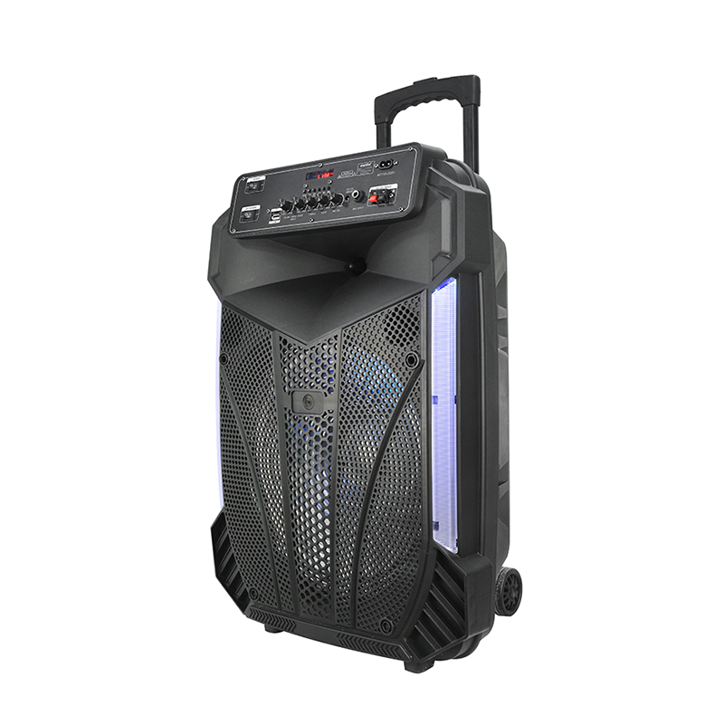 Haut - parleur de chariot