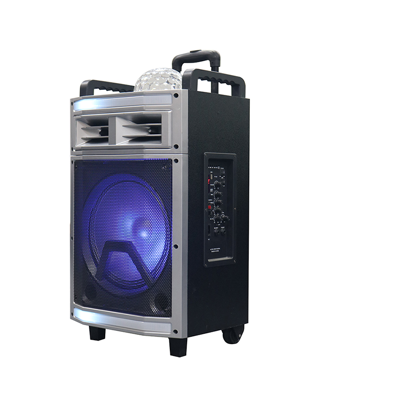 Haut-parleur Trollry Y-B22-12H