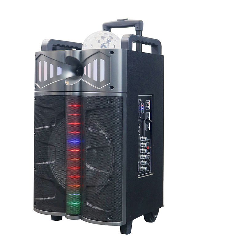 Haut-parleur Trollry Y-DJ1201-12H