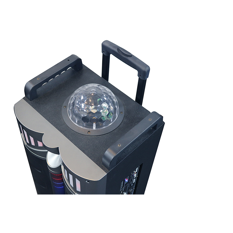 Haut-parleur Trollry Y-DJ1201-12H