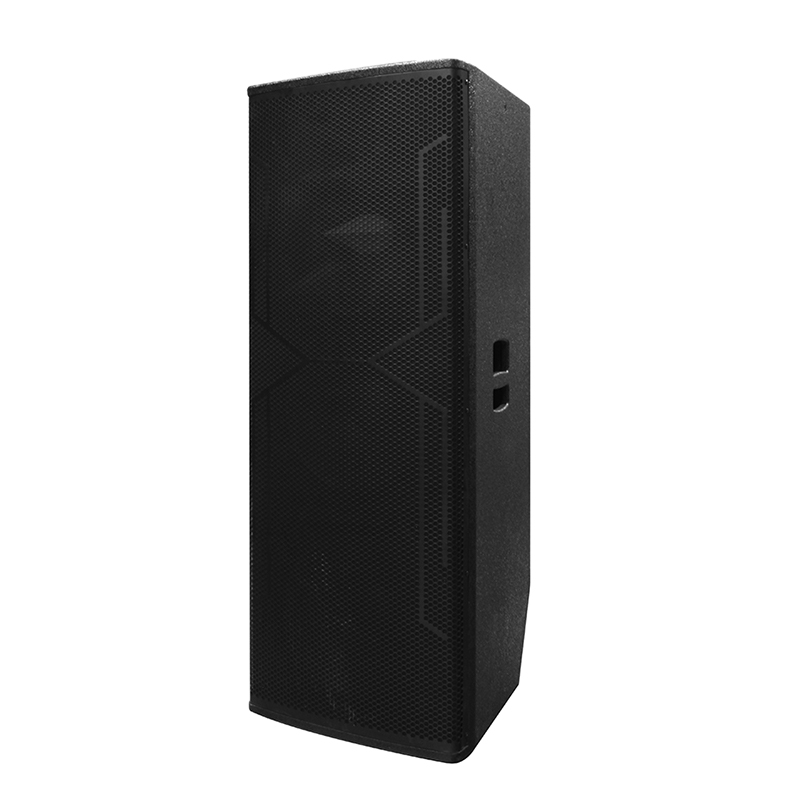 Grand haut-parleur DJ Y-450DH