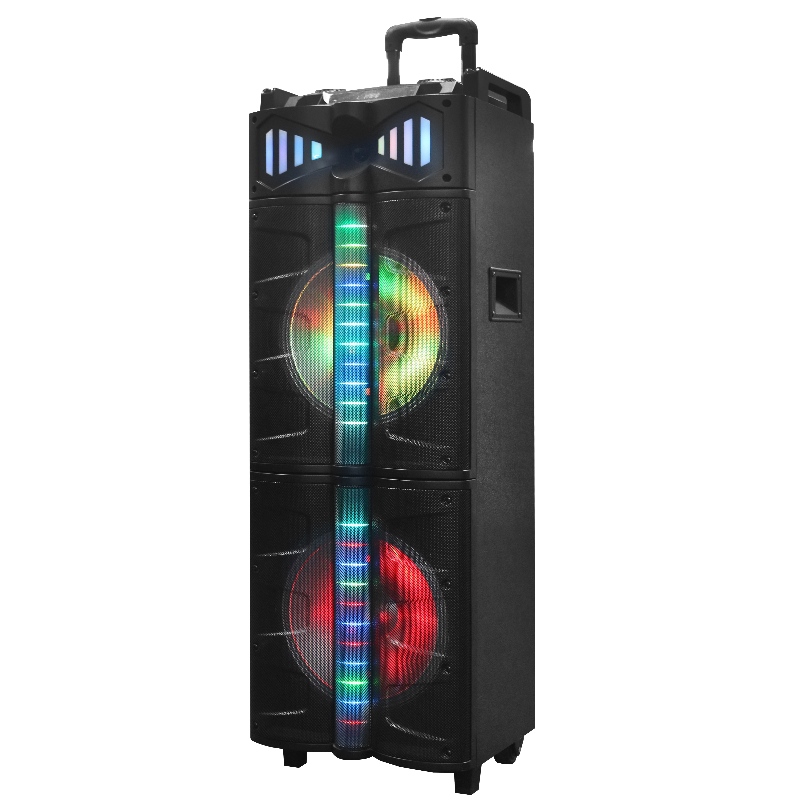 Haut - parleur à chariot