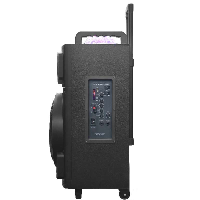 Haut - parleur de chariot