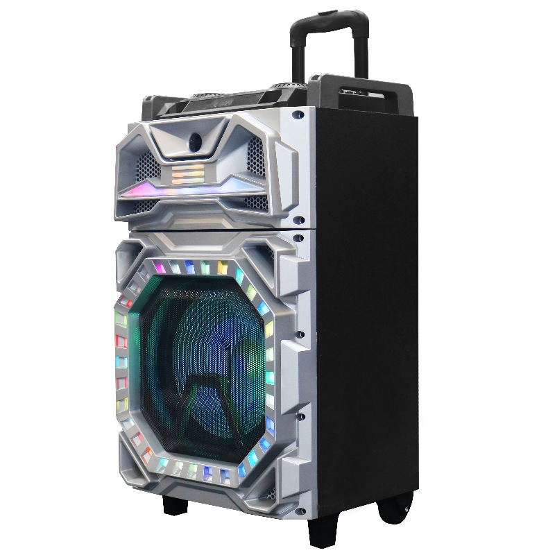 Haut - parleur de chariot