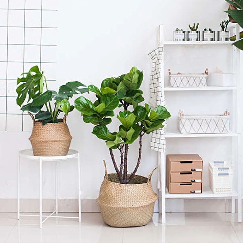 Panier de ventre tissé en jonc de mer pour stockage