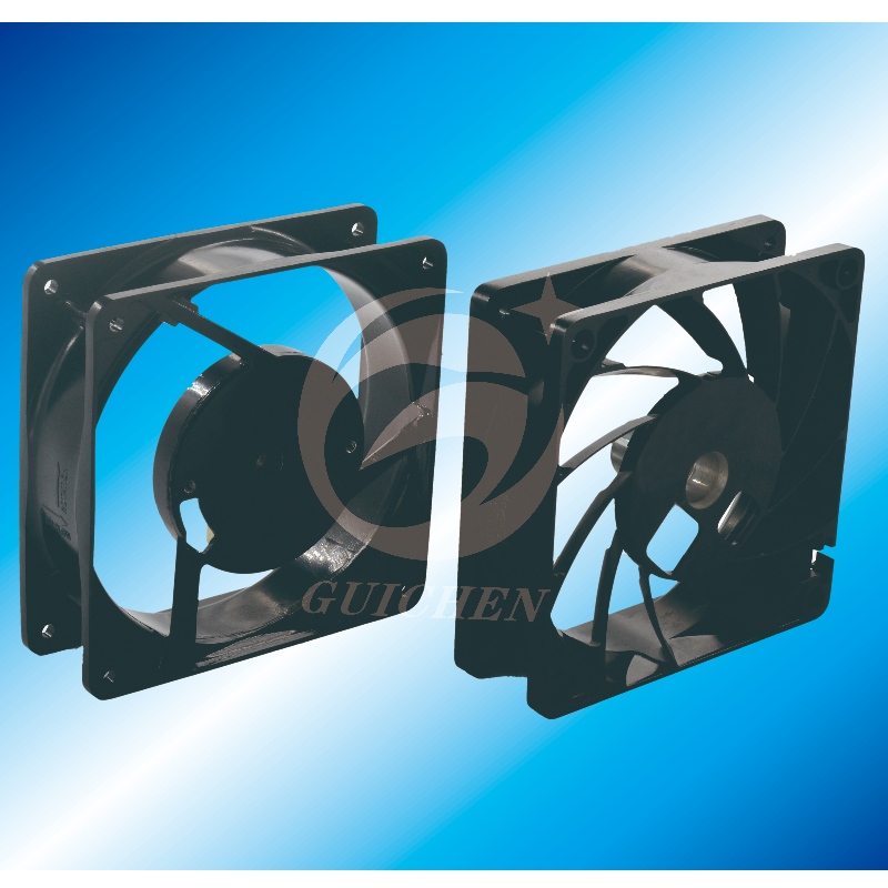 Fan