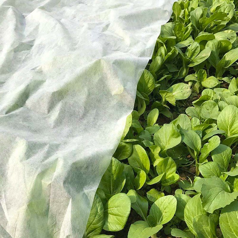 La plantation non tissée de géotextile de couverture d'agriculture de pp élèvent le tissu de sacs pour des produits de jardin