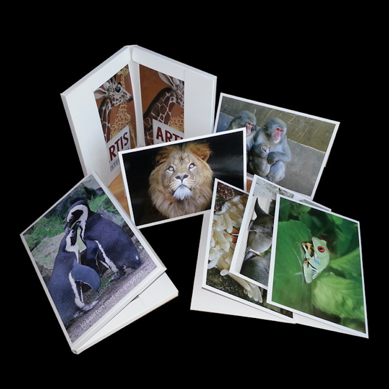 Cartes, cartes, enveloppes.Souvenir de voyage