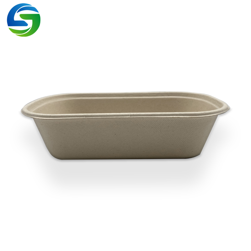 Bol à salade jetable écologique