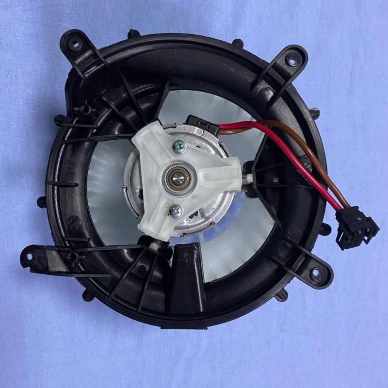 2208203142 moteur de ventilateur de chauffage à courant alternatif des véhicules à moteur pour Mercedes-Benz C215 W220 CL600