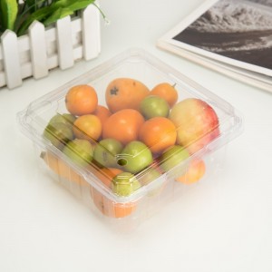 Récipient de fruits en plastique jetable à haute transparence