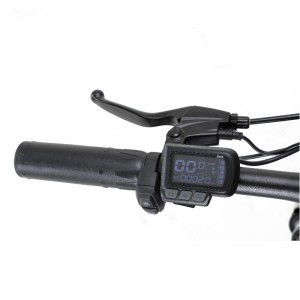 H6 EBIKE
