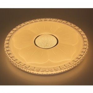 Cx220 plafond