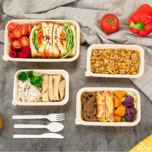 Contenants de stockage de nourriture jetables compostables écologiques de forme carrée contenant des aliments biodégradables d\'amidon de maïs à emporter