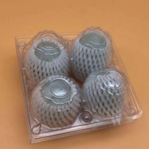 Plateau en plastique pour 4 œufs