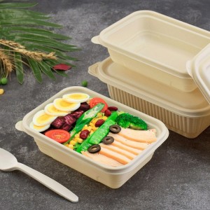 Conteneur de restauration rapide jetable compostable de boîte de nourriture de taille personnalisée pour le magasin de bento à emporter amidon de maïs biodégradable containe