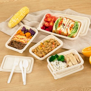 Protection de l\'environnement sans Bisphénol a boîte à lunch jetable boîte à emporter contenant d\'aliments biodégradables