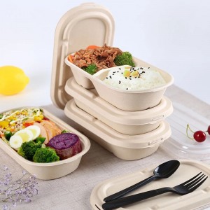 Boîte d\'emballage de restauration rapide à emporter contenant d\'emballage de bagasse contenant d\'emballage de bagasse compostable avec couvercle transparent
