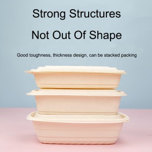 Boîte de restauration rapide à base d\'amidon de maïs dégradable boîte rectangulaire à emporter boîte à lunch dégradable