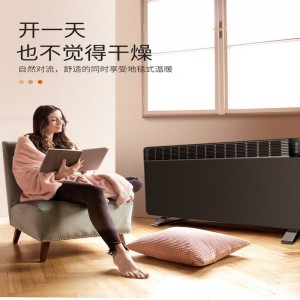 Populariser divers éléments de chauffage durables chauffe - Convection électrique