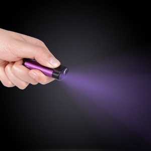 Lampe de poche porte-clés de désinfection UVC