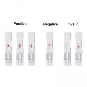 V - chekC2019 ncov AG salive Rapid test Card (immunochromatography)