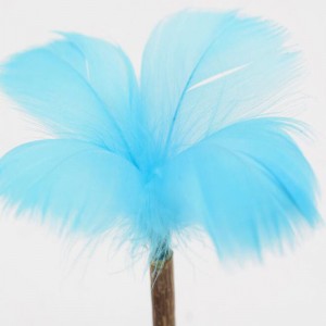 Sucette Gobelet Cat Mint