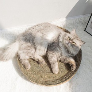 Cherry chat attrape bol