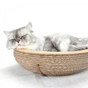 Papier Cat Bol Scratch Board Nid