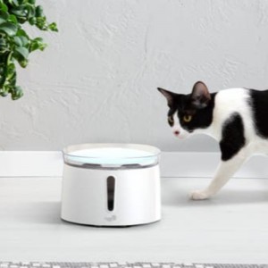 Distributeur d\'eau automatique 2L