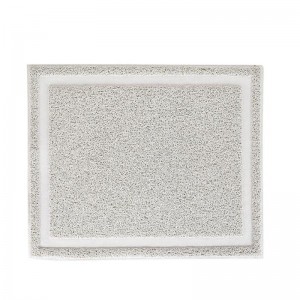 Grande litière de chat