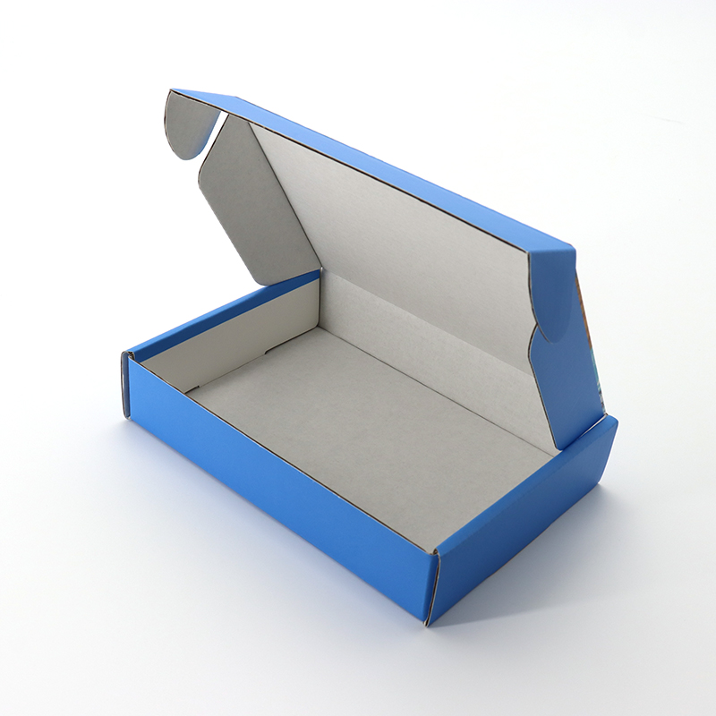 Tuck abonnement chaussure emballage imprimé papier ondulé expédition bleue personnalisé logo box-mailer