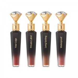 Nouveau matériel Lipgloss