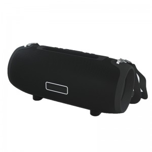 Haut-parleur Bluetooth portable FB-BSL9