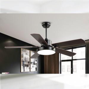 Ventilateur FL Z BS5671C 42