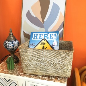 Boîte de rangement des algues