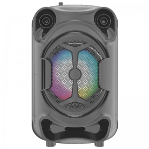 FB-PS816 Haut-parleur Bluetooth Party Bluetooth avec éclairage LED