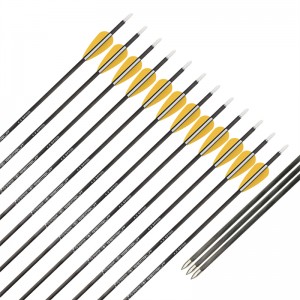 Elong Extérieur 110322 ID4.2mm SP700 SP700 SP700 Fibre de carbone Arrow Tir à l\'arc de tir à l\'arc