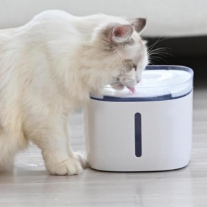 Fontaine d\'eau automatique intelligente