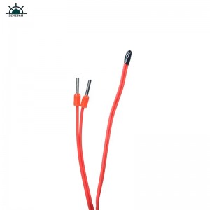 Fournisseur de la résistance de la Chine Personnalisé de bonne qualité 1K 10K 100K OHM B VALEUR 3950K Capteur de température Thermistance NTC