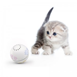 Jouets à billes de chat laser interactif